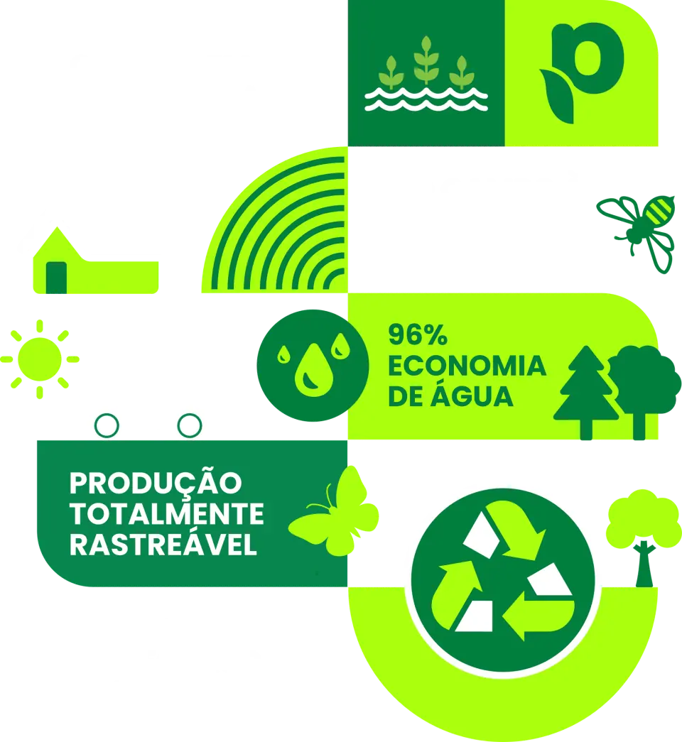 Fluxo de tecnologia e sustentabilidade da Verdureira