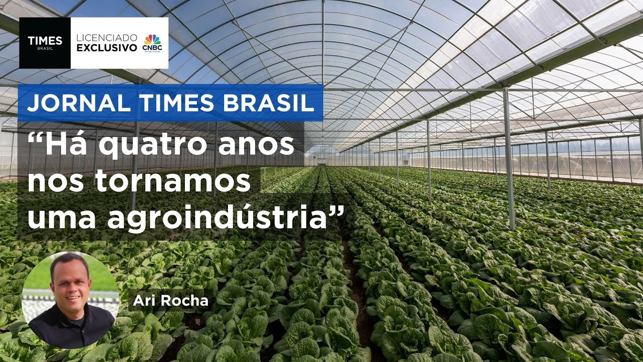 Produtora de verduras utiliza cultivo na piscina; CEO da Verdureira explica inovação
